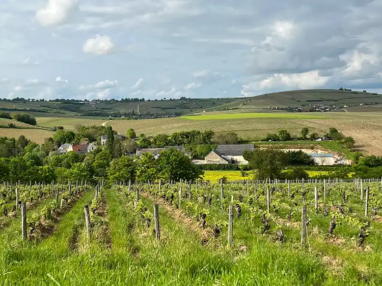 De nombreuses balades dans le Berry et le vignoble de Sancerre