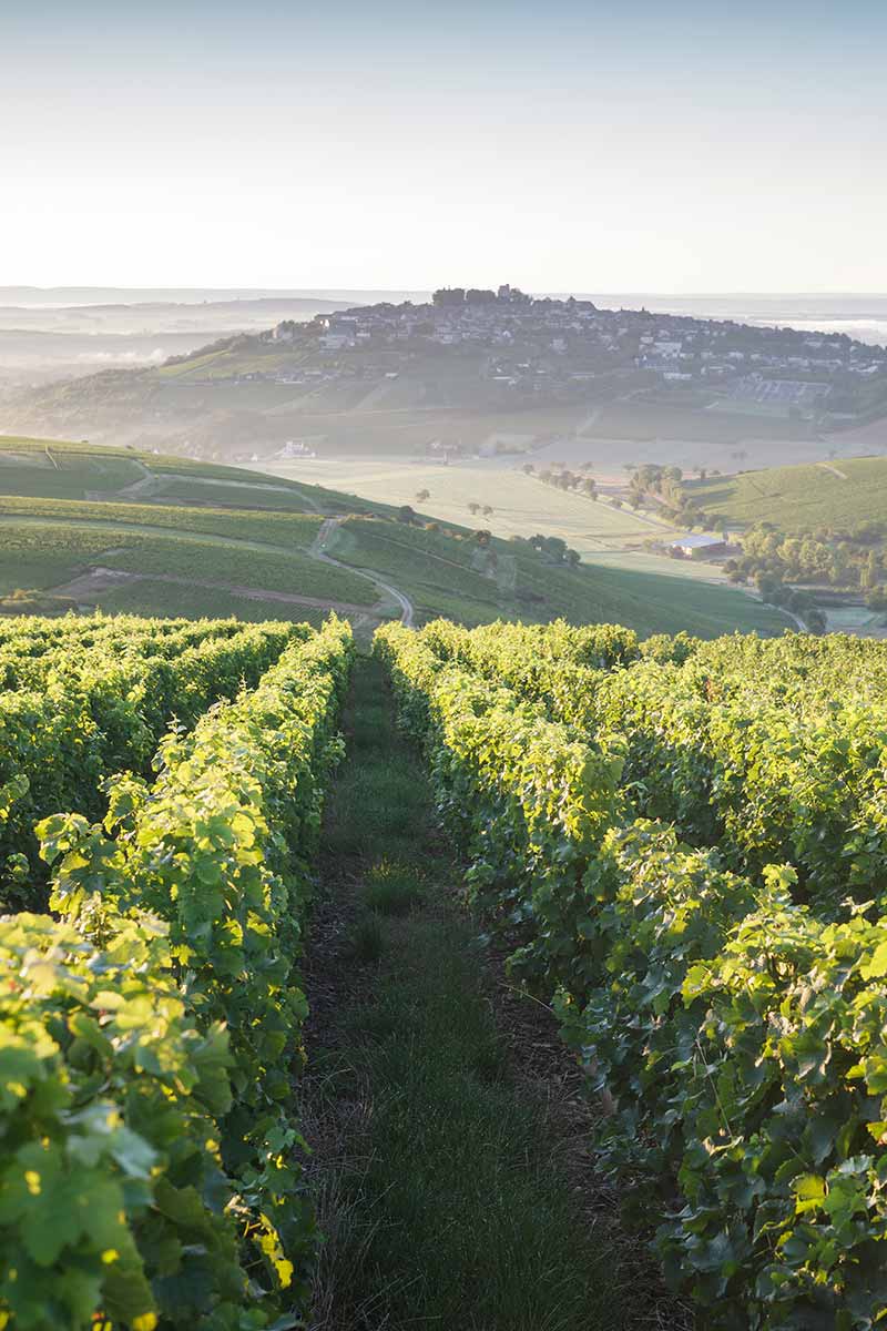 3 grands gîtes proches de Sancerre au Domaine Happy Petit Senais