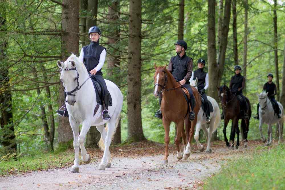 Sancerrois à cheval